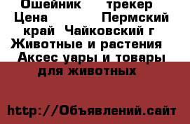 Ошейник GPS трекер › Цена ­ 4 000 - Пермский край, Чайковский г. Животные и растения » Аксесcуары и товары для животных   